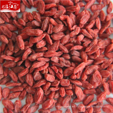 GOJI A280 GRANOS / 50G